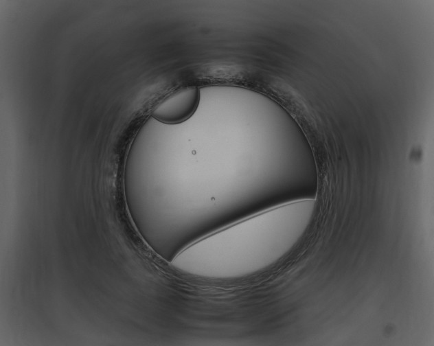 X0000097840739200803140834