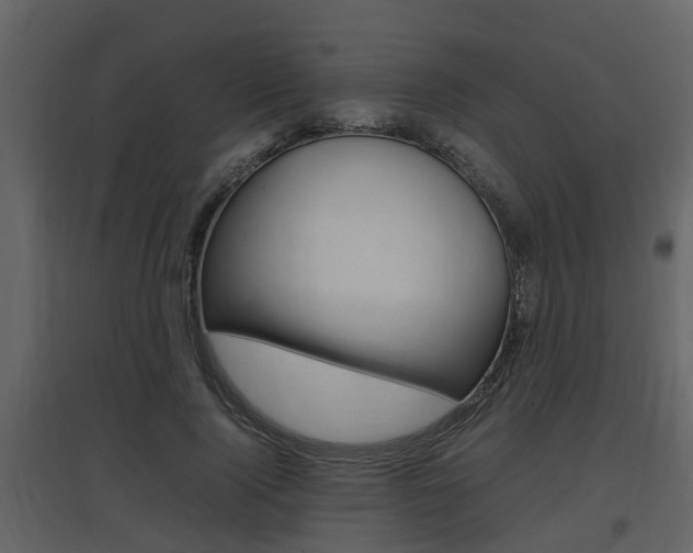 X0000097840740200803140834