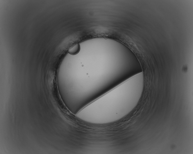 X0000097840742200803140834