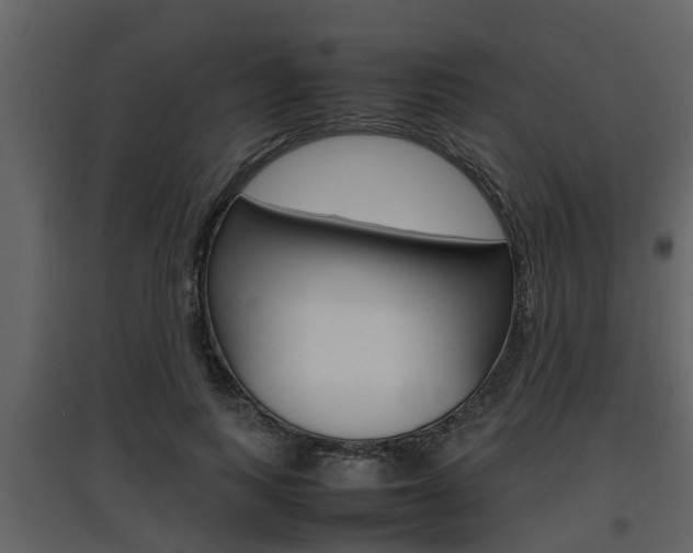 X0000097840743200803140834