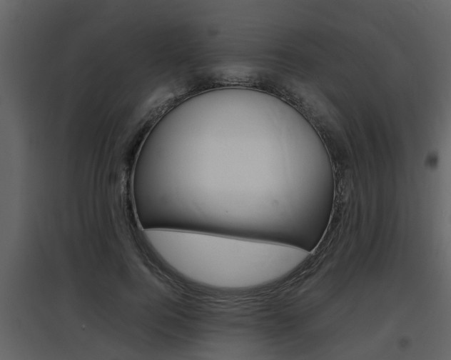 X0000097840744200803140834