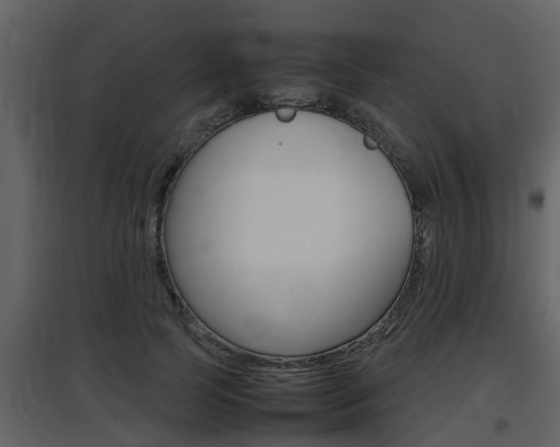 X0000097840745200803140834