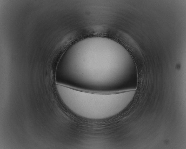 X0000097840748200803140834
