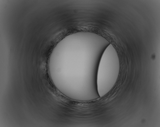 X0000097840749200803140834