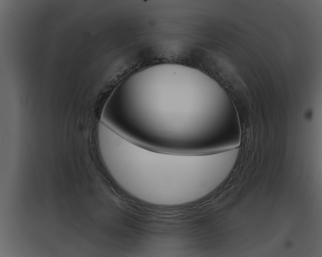 X0000097840750200803140834