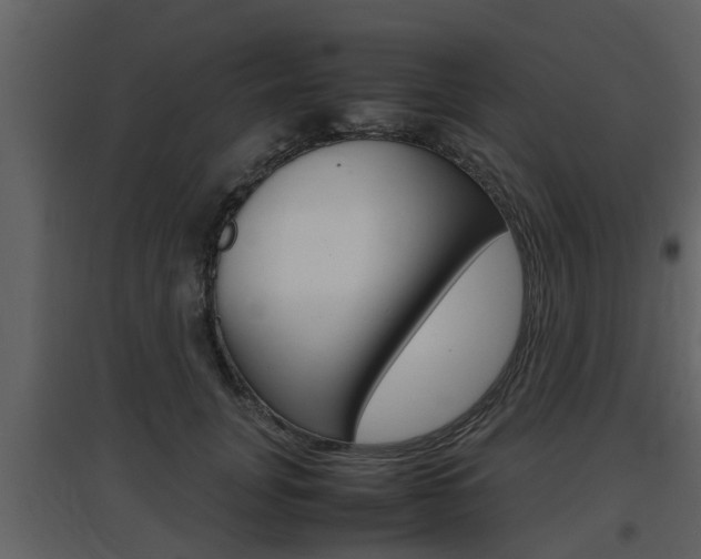 X0000097840751200803140834