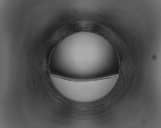 X0000097840752200803140834