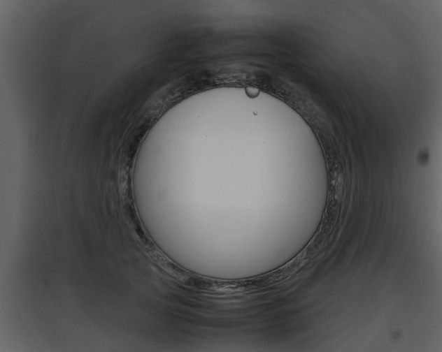X0000097840753200803140834