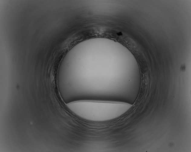 X0000097840754200803140834
