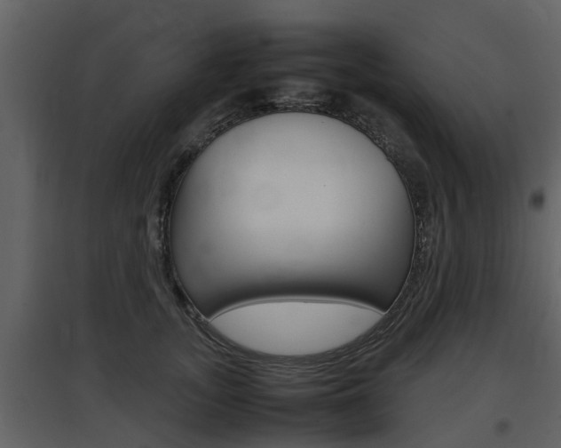 X0000097840755200803140834