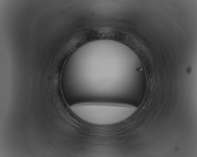 X0000097840756200803140834