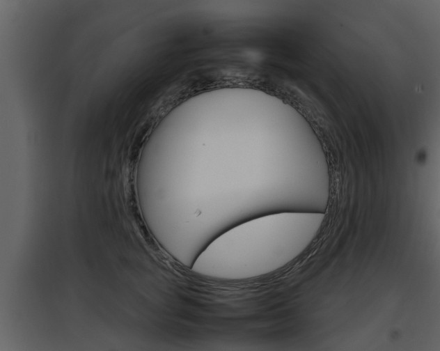 X0000097840757200803140834