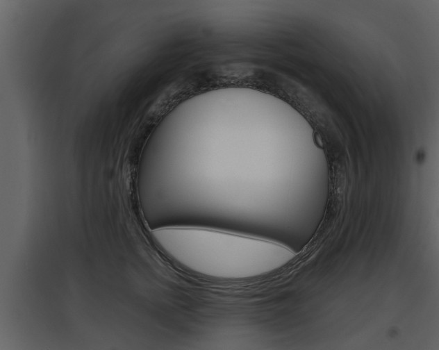 X0000097840758200803140834