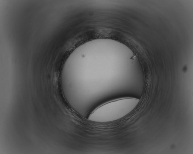 X0000097840759200803140834