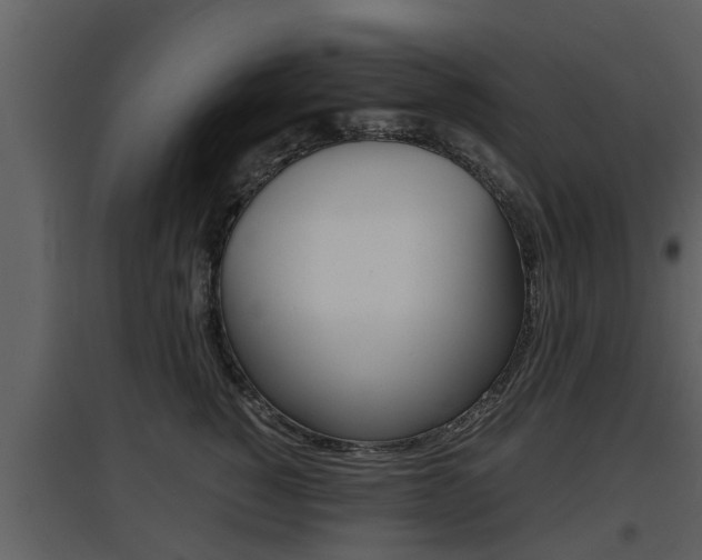 X0000097840760200803140834