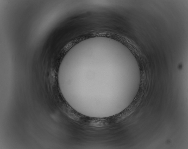 X0000097840761200803140834