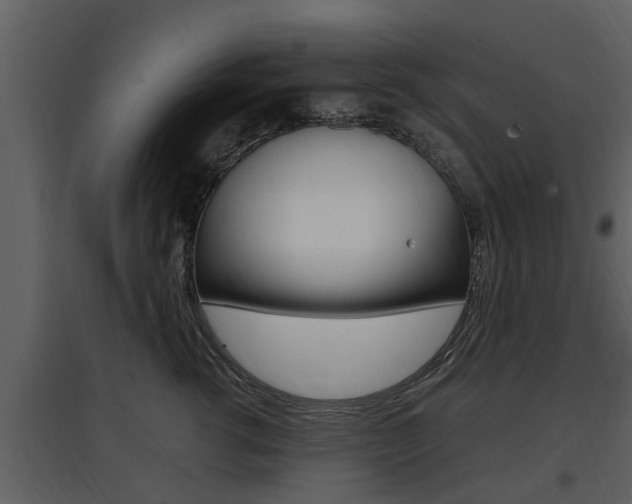 X0000097840762200803140834