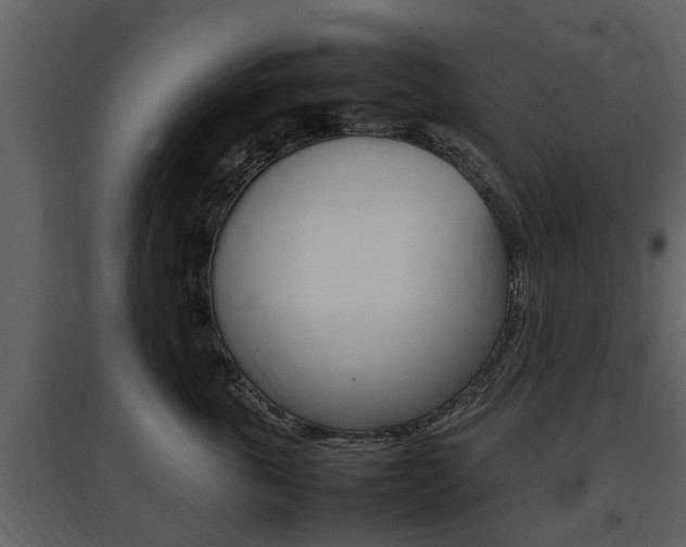 X0000097840763200803140834
