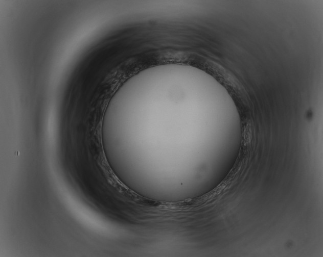 X0000097840764200803140834