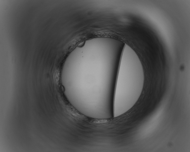 X0000097840767200803140834