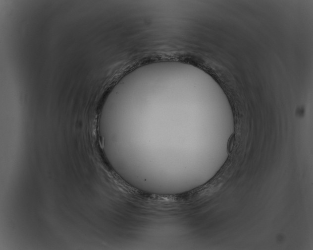 X0000097840768200803140834