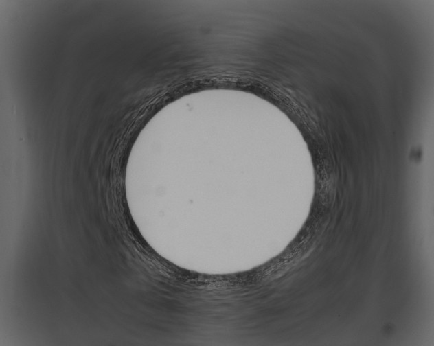 X0000097840769200803140834