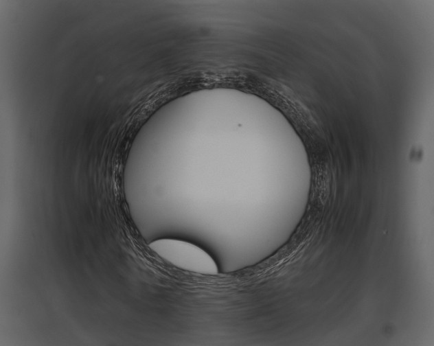 X0000097840770200803140834