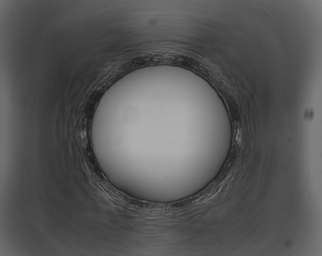 X0000097840771200803140834