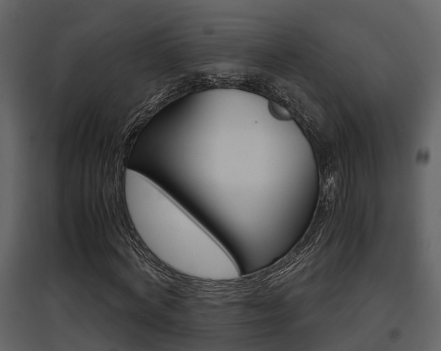 X0000097840772200803140834