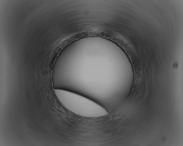 X0000097840773200803140834
