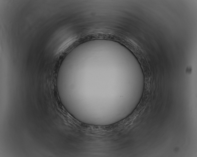 X0000097840774200803140834