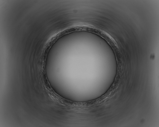 X0000097840775200803140834