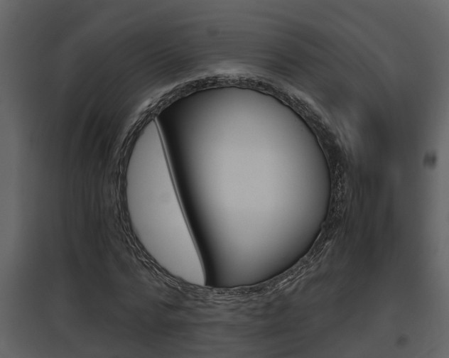 X0000097840776200803140834