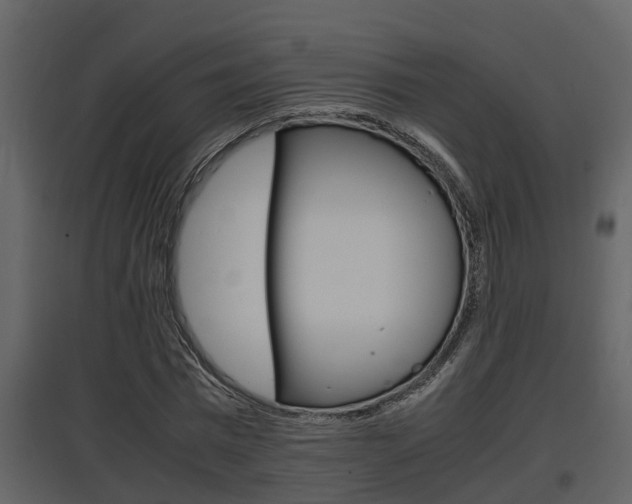 X0000097840777200803140834