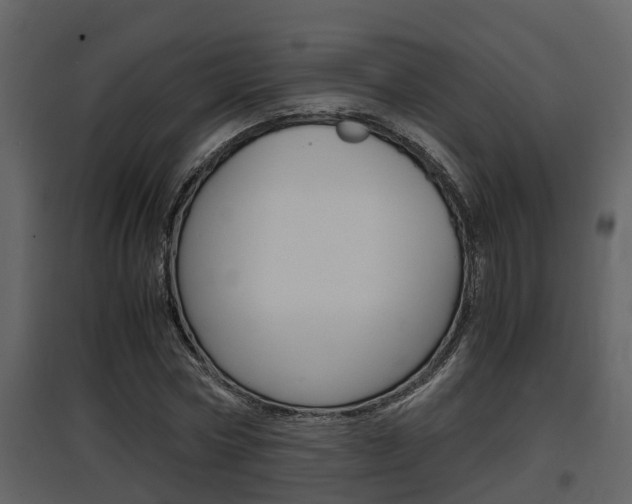 X0000097840778200803140834
