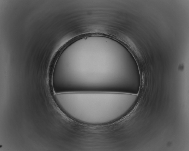 X0000097840780200803140834