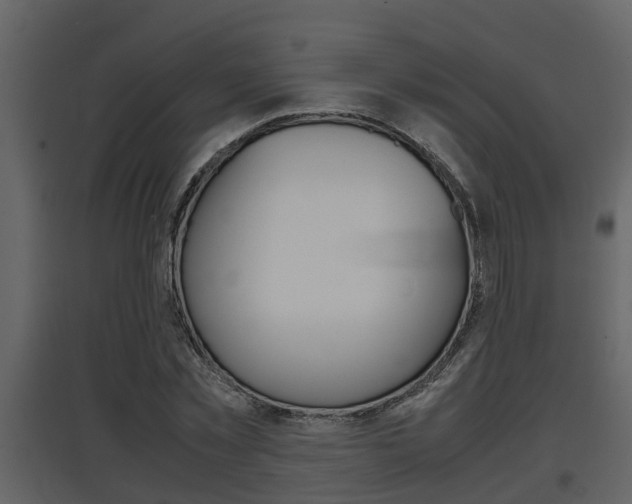 X0000097840781200803140834