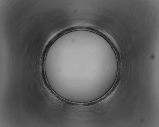 X0000097840783200803140833