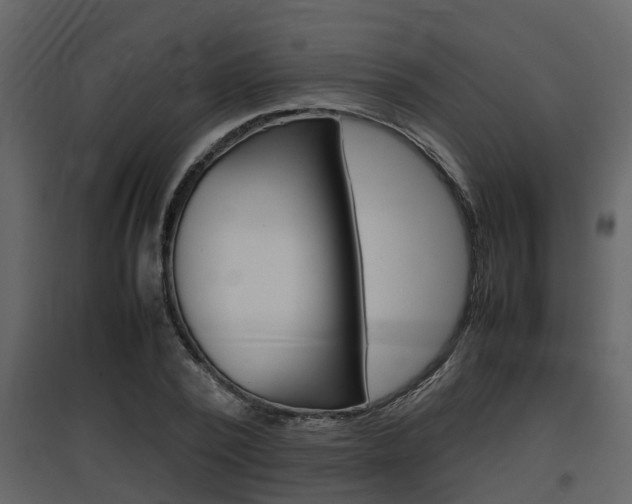 X0000097840784200803140833
