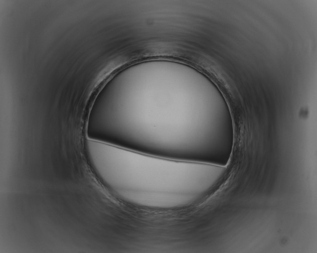 X0000097840786200803140833