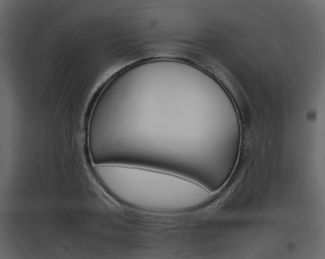X0000097840787200803140833