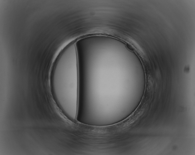X0000097840788200803140833