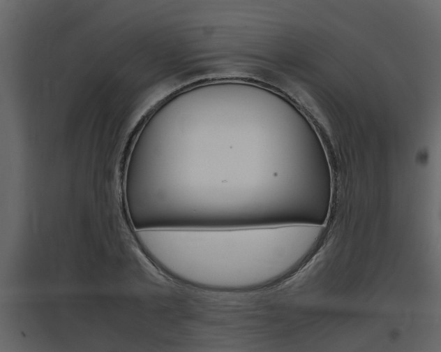 X0000097840789200803140833