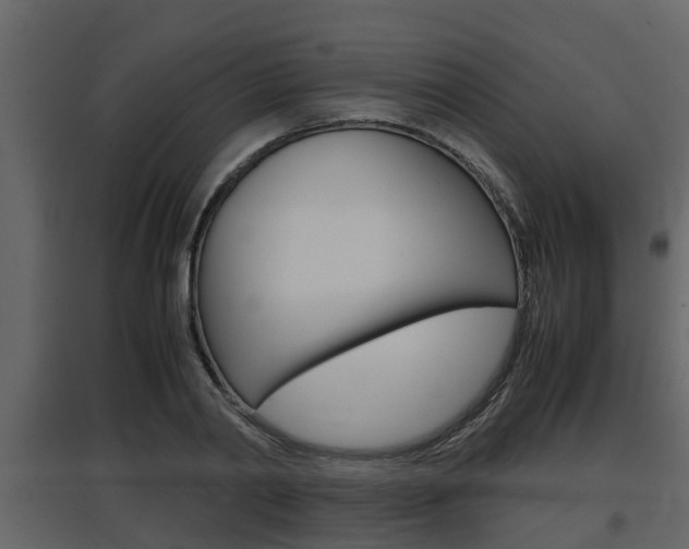 X0000097840790200803140833