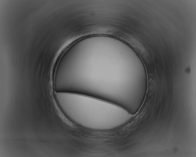 X0000097840792200803140833