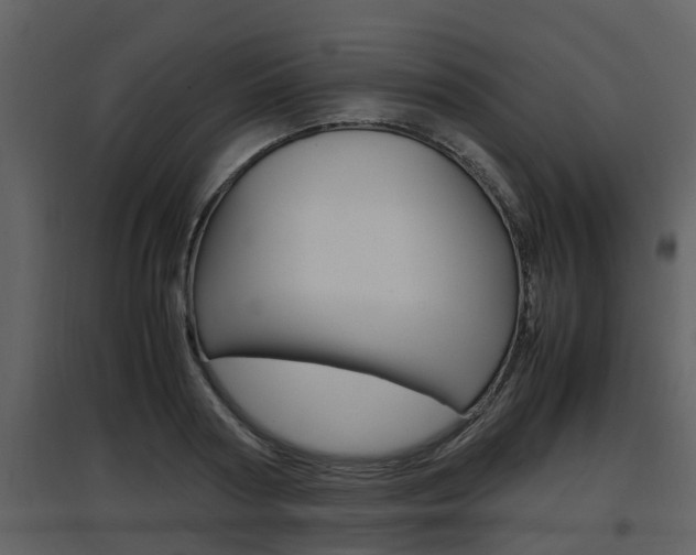 X0000097840794200803140833