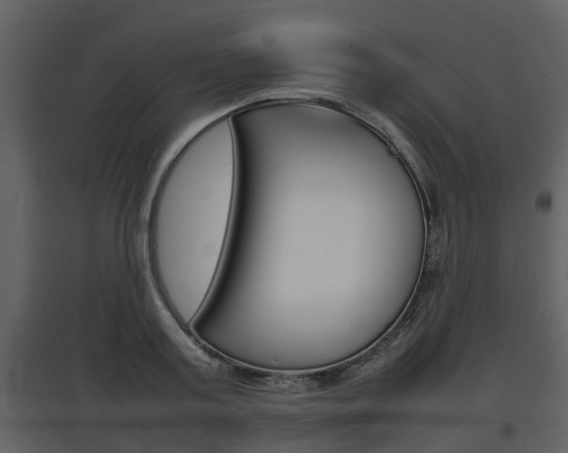 X0000097840795200803140833