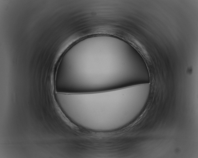 X0000097840796200803140833