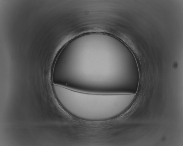 X0000097840797200803140833