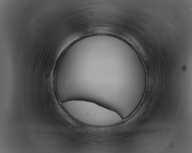 X0000097840798200803140833